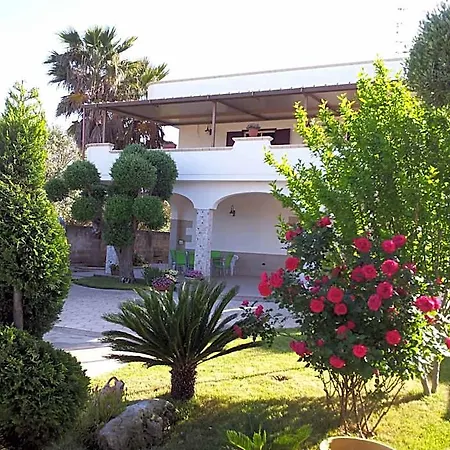 Bed & Breakfast Magi 4*